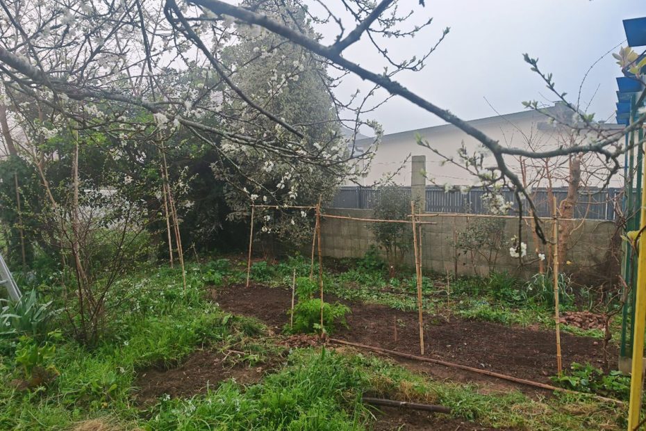 Ici aussi on dégage