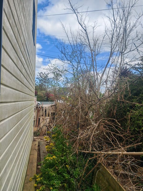 De temps en temps, un peu d'élagage et de broyages des haie coupé