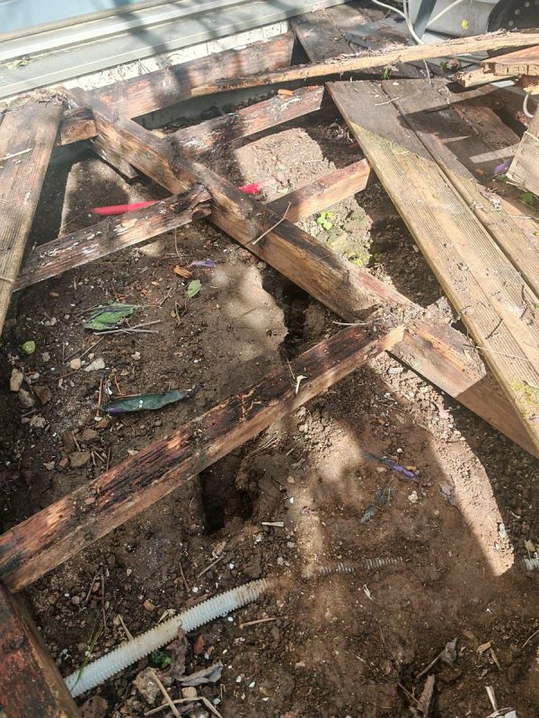 Y'a eux une sacré galerie de rats quand j'étais envahie avec la poules et ses graines !