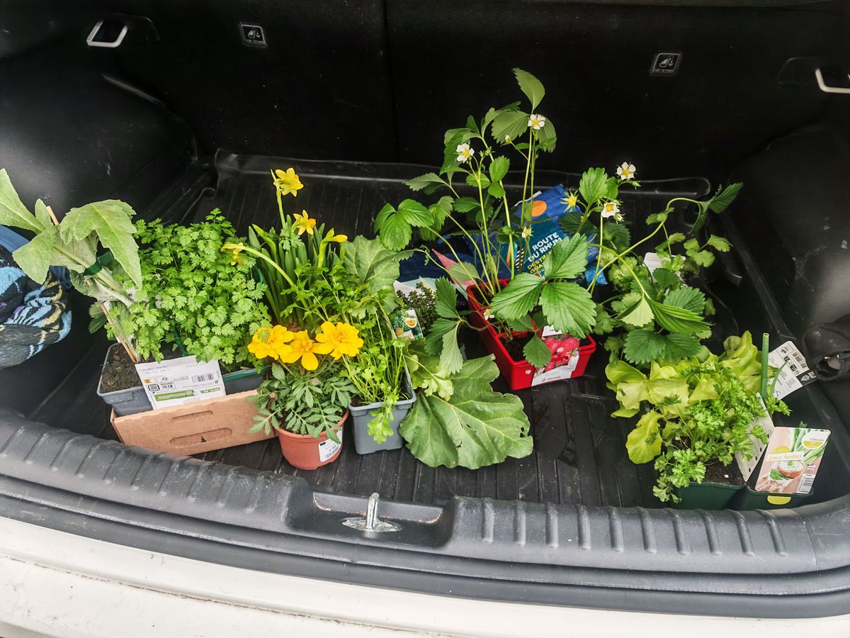 Achat de la jardinerie en chèques cadeaux