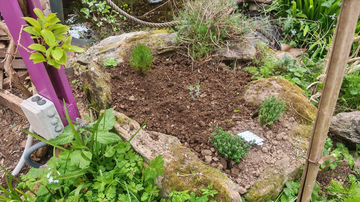 La spirale d'aromatique reprend sa fonction.