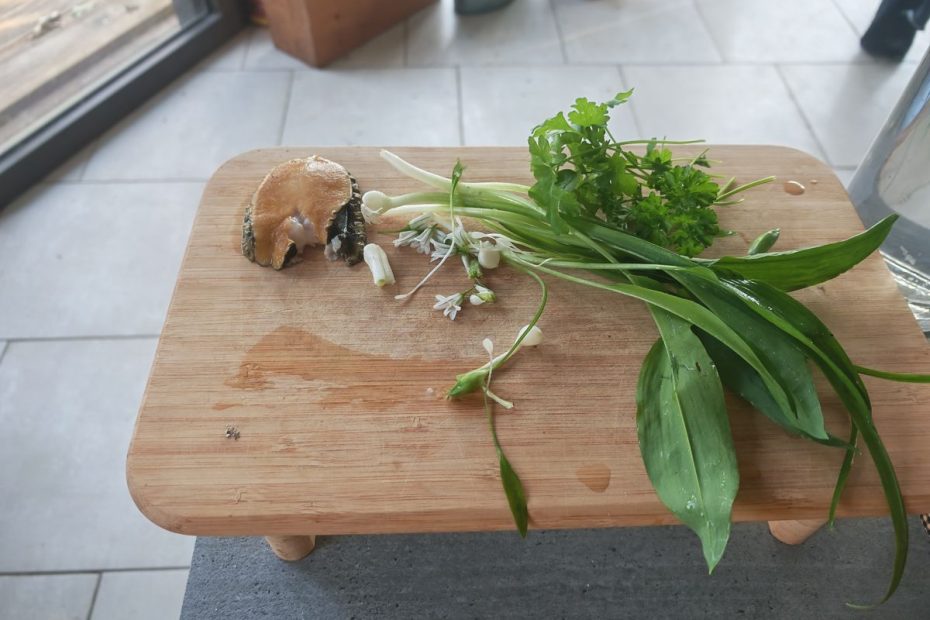 L'ormeau, persil et l'ail des ours