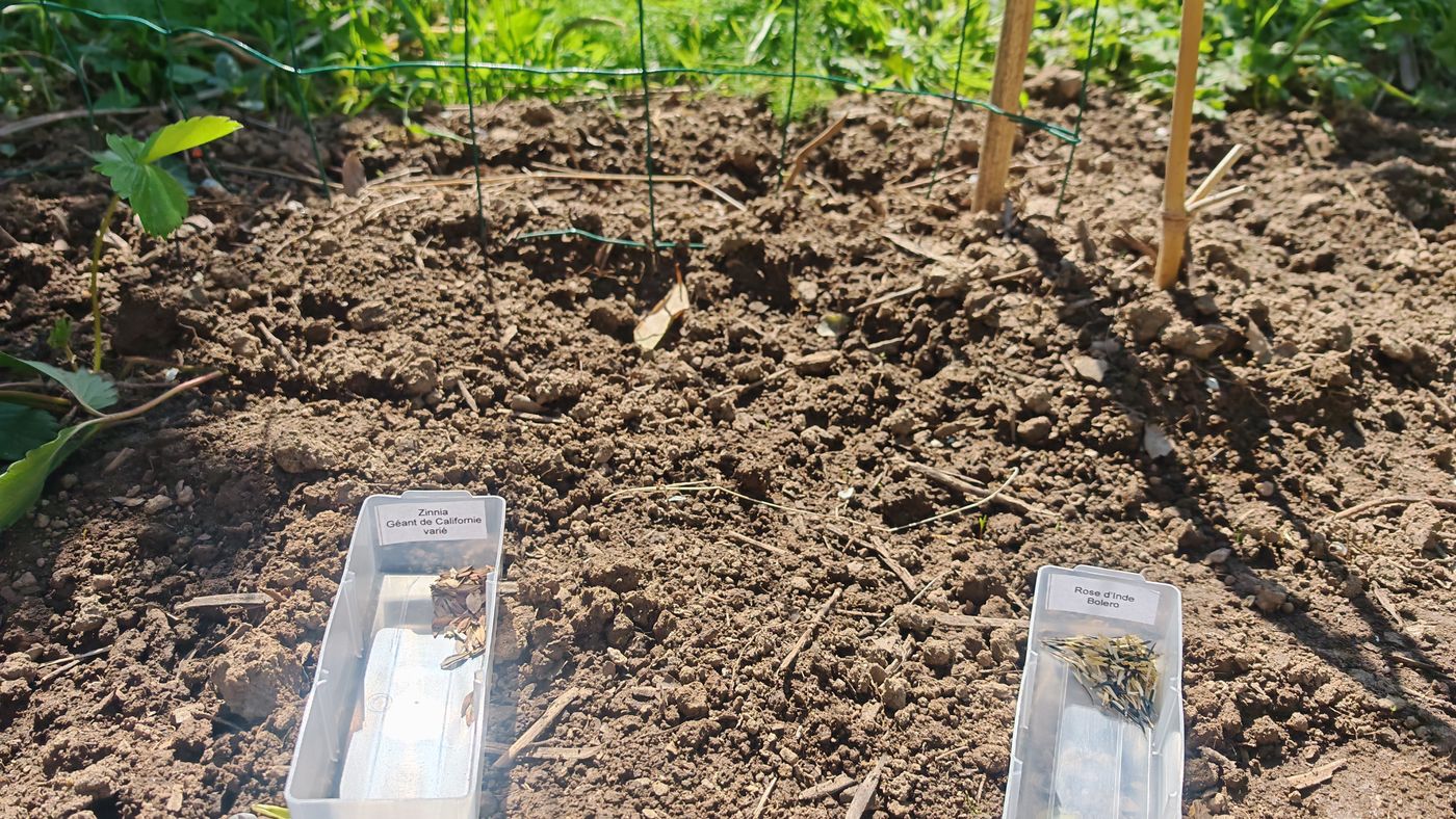 Les photos pour faire le plan après