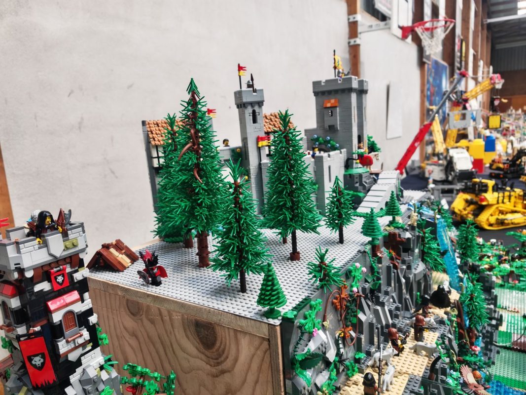 Plein de nouveaux sapin !