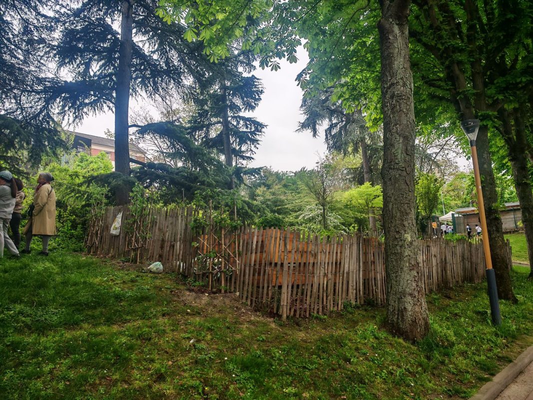 Jardin partagé au Parc Henri Barbusse