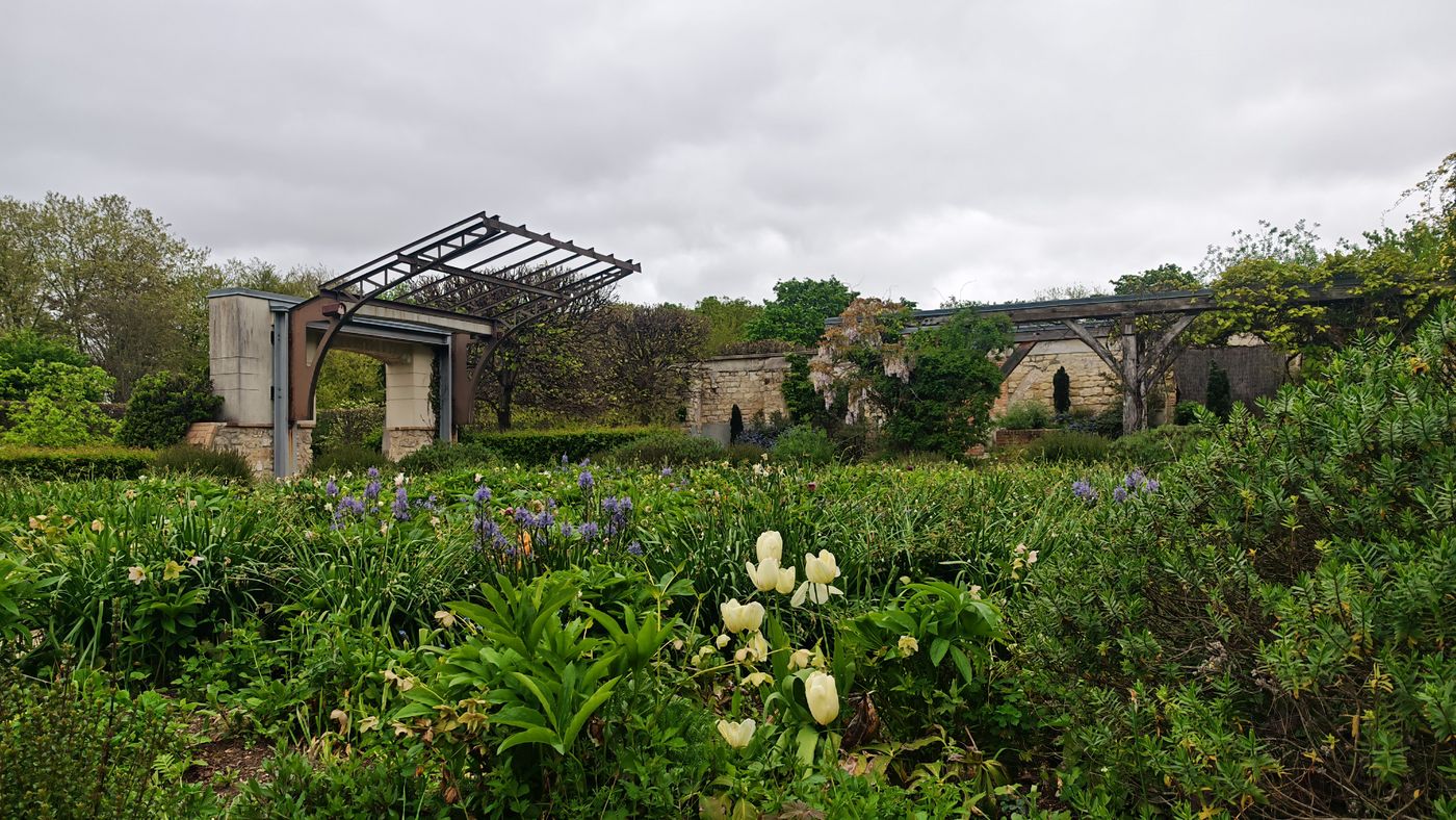 Parc de l'Île Saint-Germain, Roseraie
