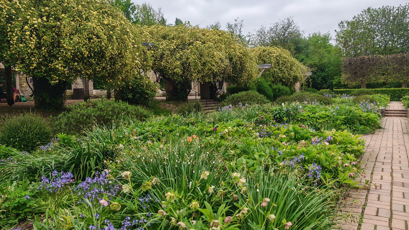 Parc de l'Île Saint-Germain