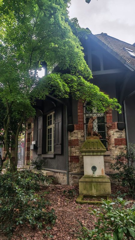 Petite cabane de forêt
