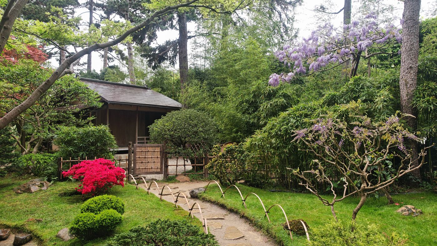 Jardin Albert Kahn : Partie Japonaise