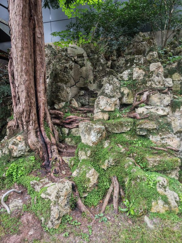 On se croirais dans des ruine de temple envahie par la végétation