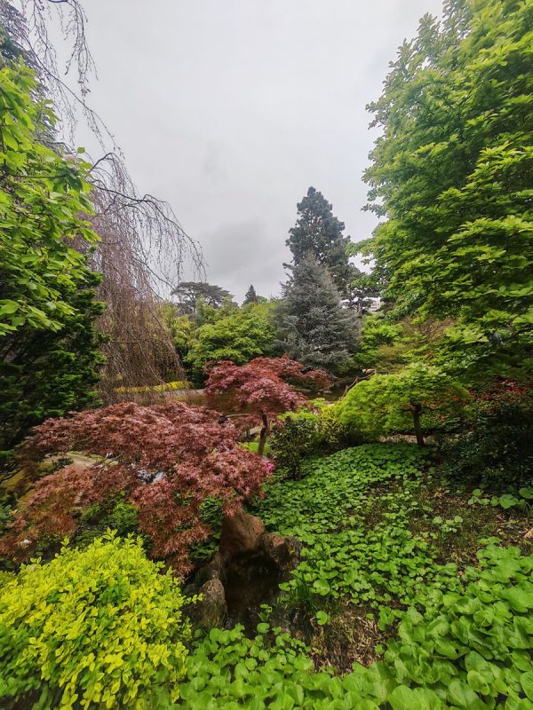 Un vrai arborétum en plein Boulogne Billancourt !