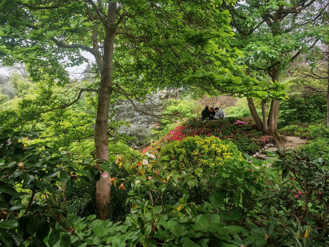 Des buttes ombragé pour se reposer, discuter ou contempler