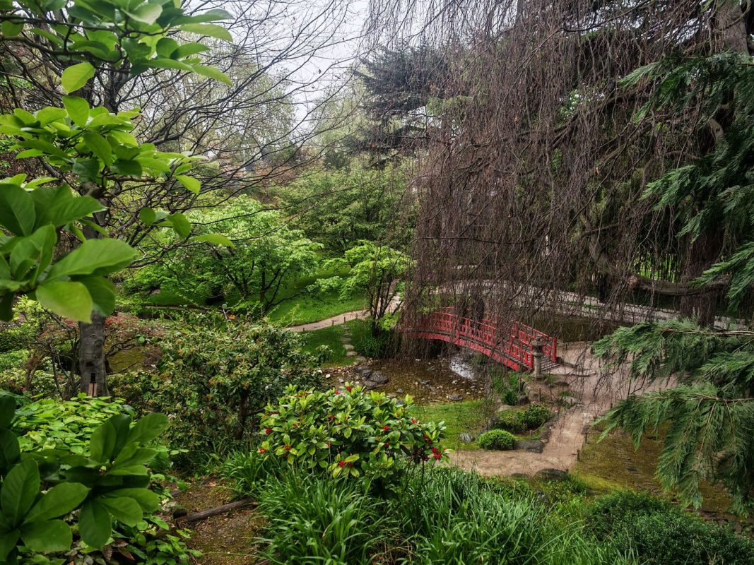 Le jardin japonais contemporain