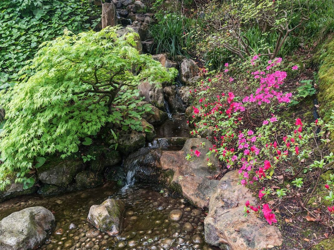 Contraste de couleur naturel