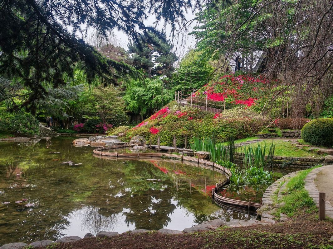 Un banc sous l'arbre, effectivement c'est reposant