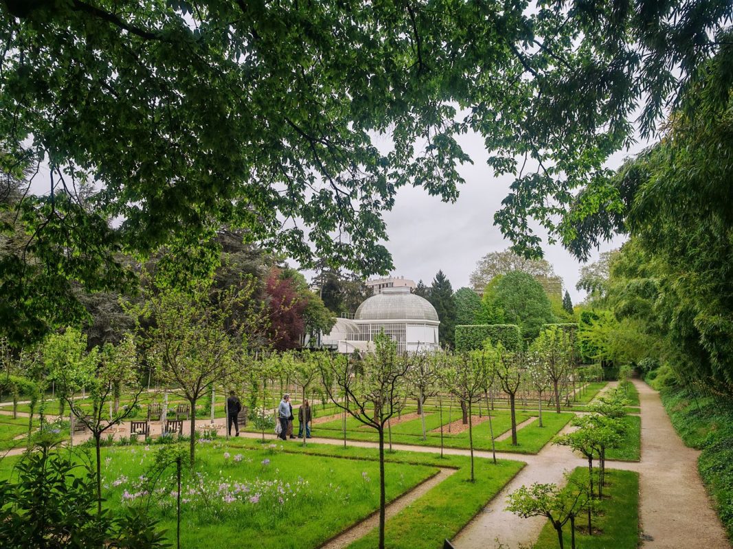On arrive dans le jardin à la française