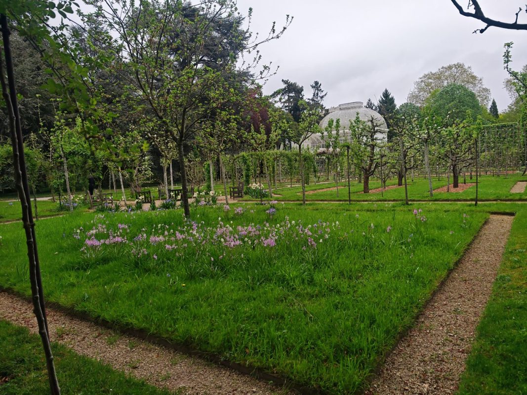 avec ses roseraies et ses  arbres fruiter en U