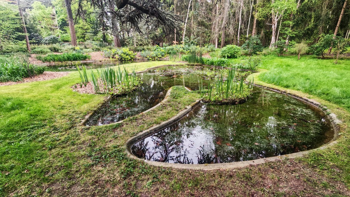 Bassin à entre la forêt bleu et la forêt vosgienne