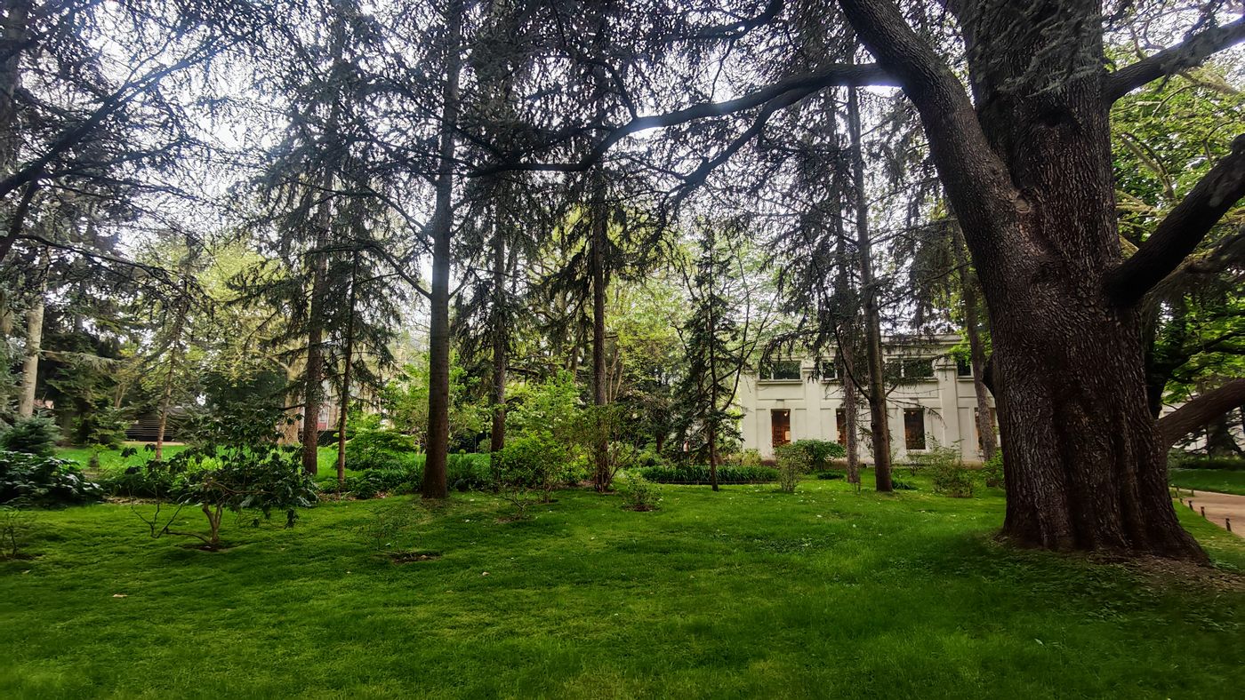 Après le japon et les châteaux, les Vosges