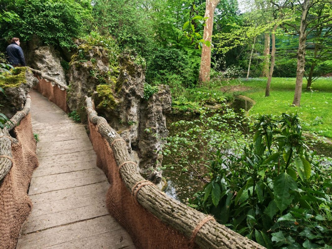 Passerelles en corde entre roche et bassin