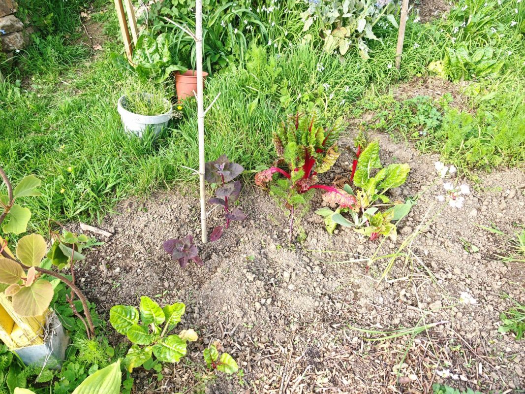 Les arches rouge ont bien pris