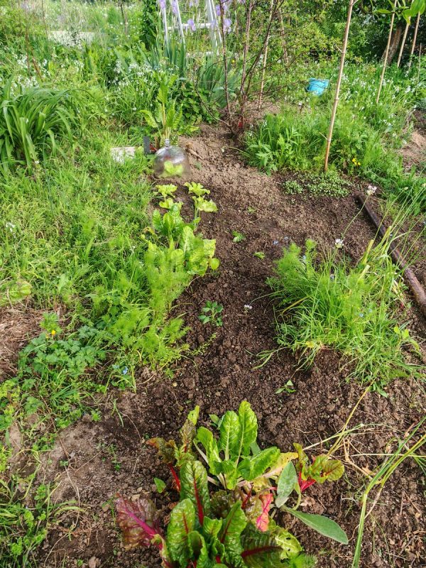 Cette fois plus de froid, on met la Tétragones