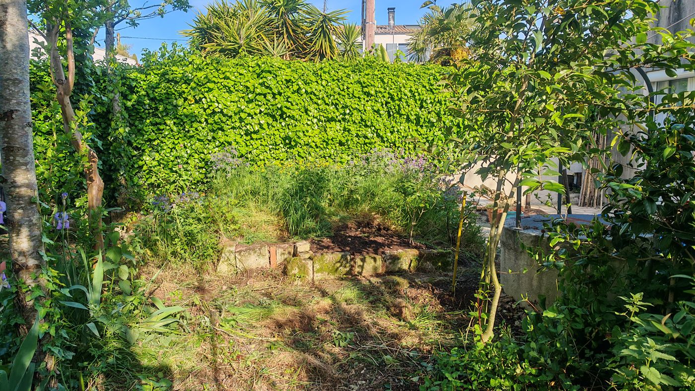 La butte dégagé de ses orties par Maman