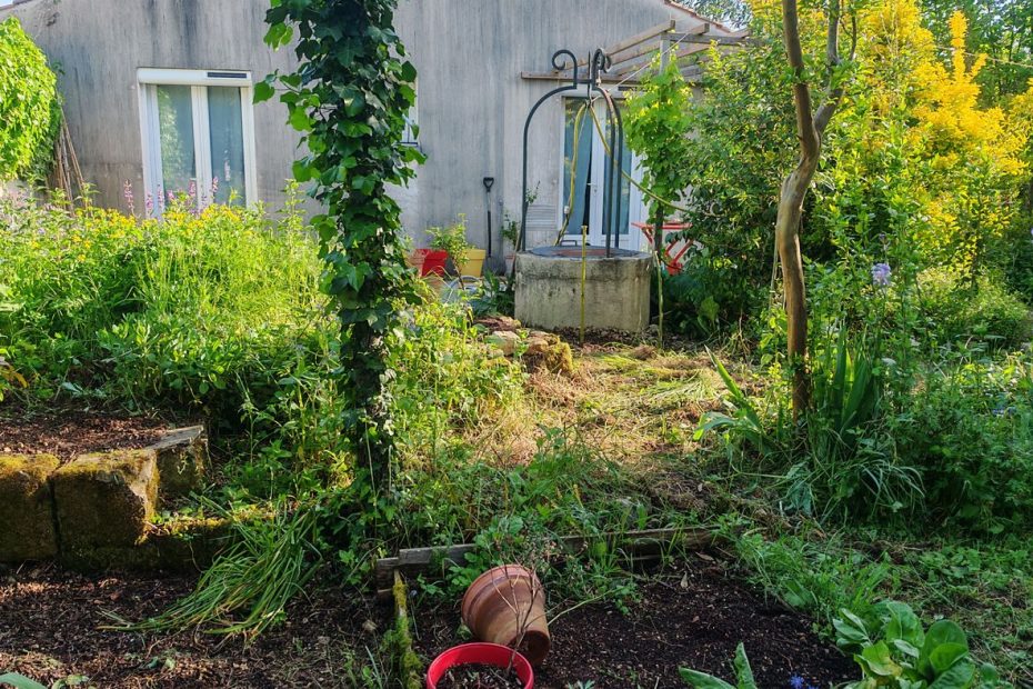 Et voila le chemin entre la terrasse et le jardin réouvert !