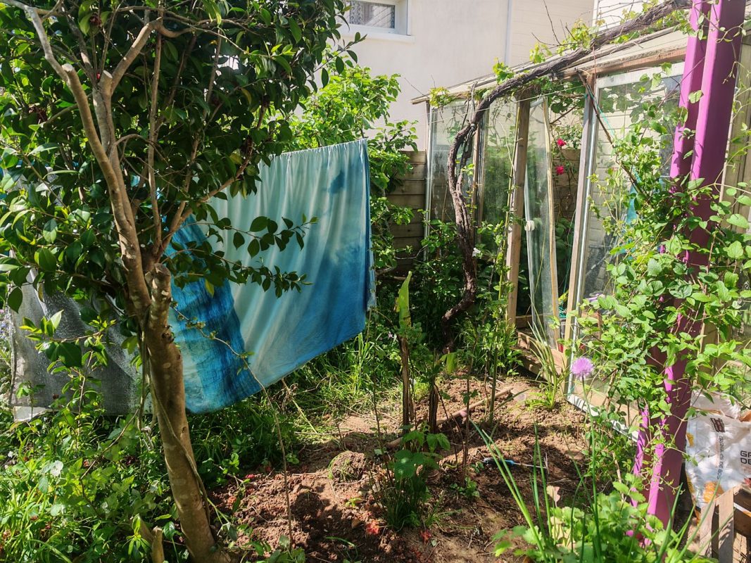 25/04 : Je garde juste le tronc pour faite poteau (de hamac ? De plantes ?), il faut de la lumière ici !