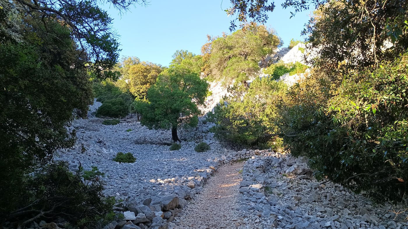 Là au moins pas de problème pour trouver le sentier !