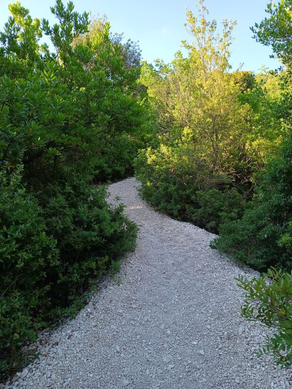 Le sentier qui serpente dans la vallées