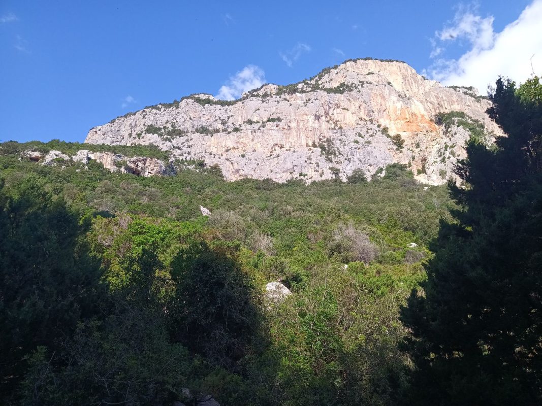 Hier après-midi, j'étais tous là haut !