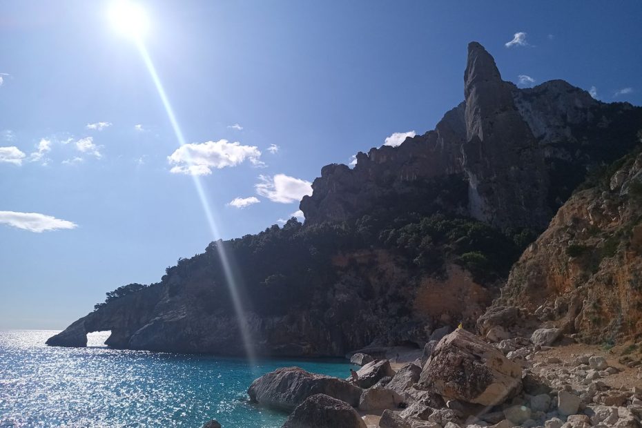 L'arche et l'aiguilles