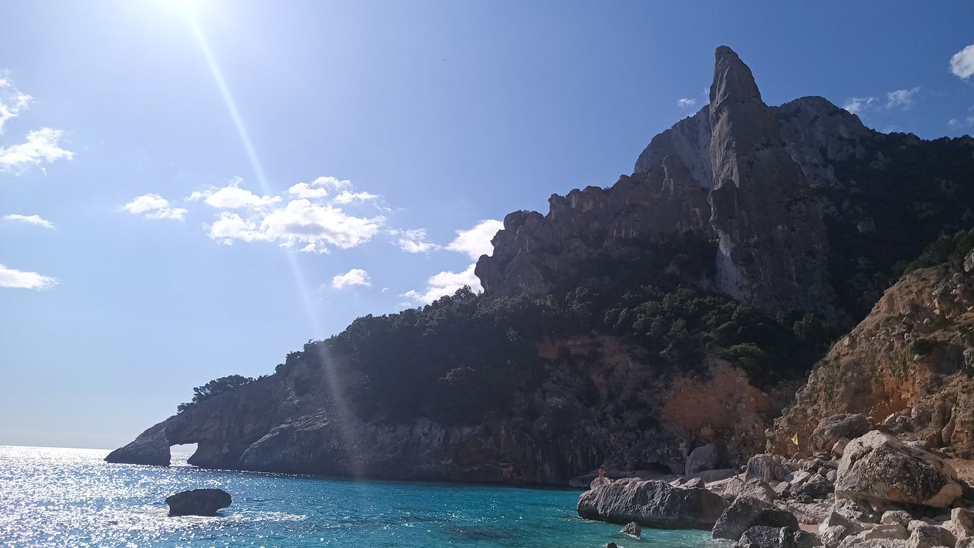 L'arche et l'aiguilles