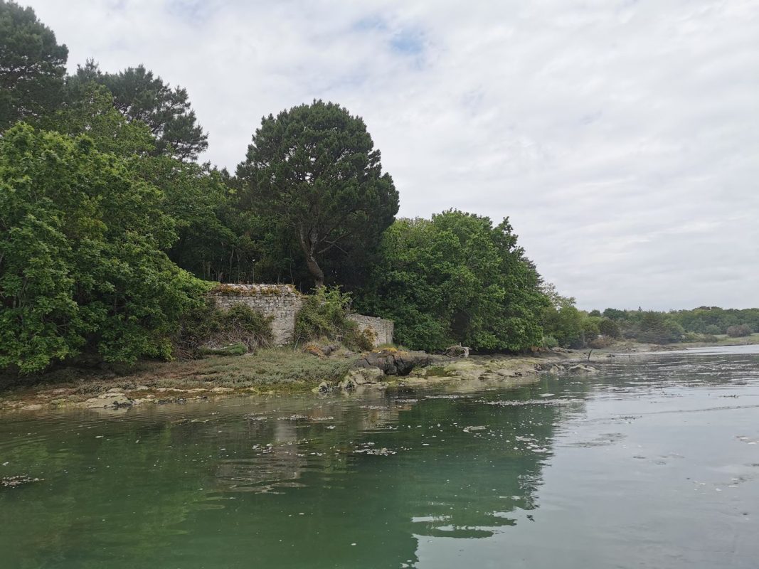 Ruines, souches, obione, salicorne...