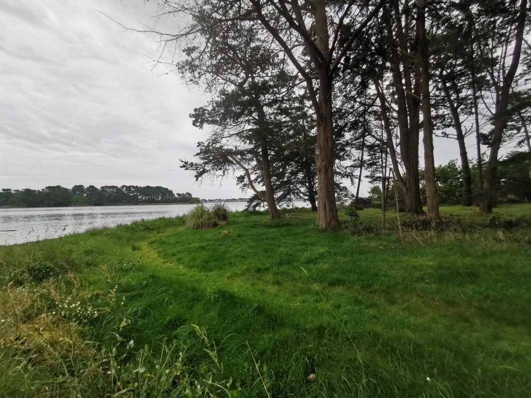 Verdure sur l'île Queffen