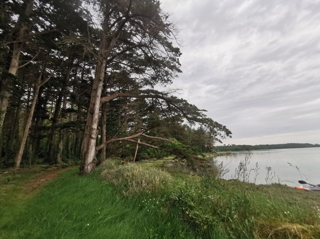 Halte cueillette d'Obione sur l'île Queffen