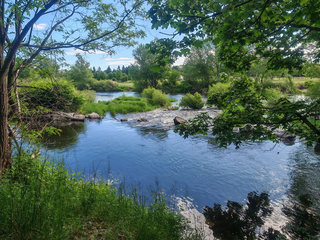 Quelques dérivation de la Loire