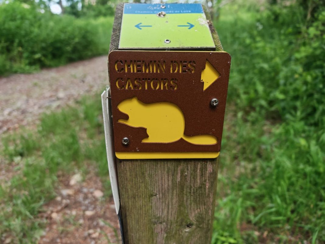 Ho, encore un sentier des Castor, à 600km d'hier