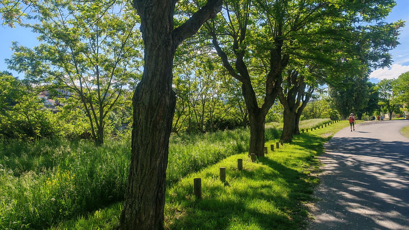 Route et sentier en tonte sélective