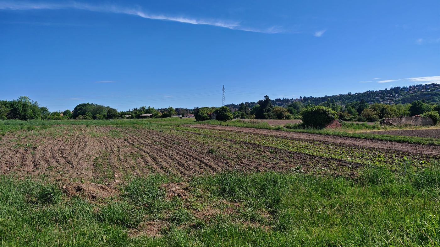 Champs et maraichage