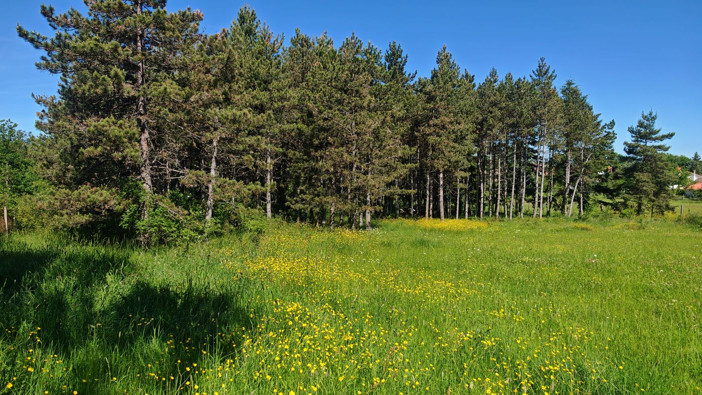 Prairies