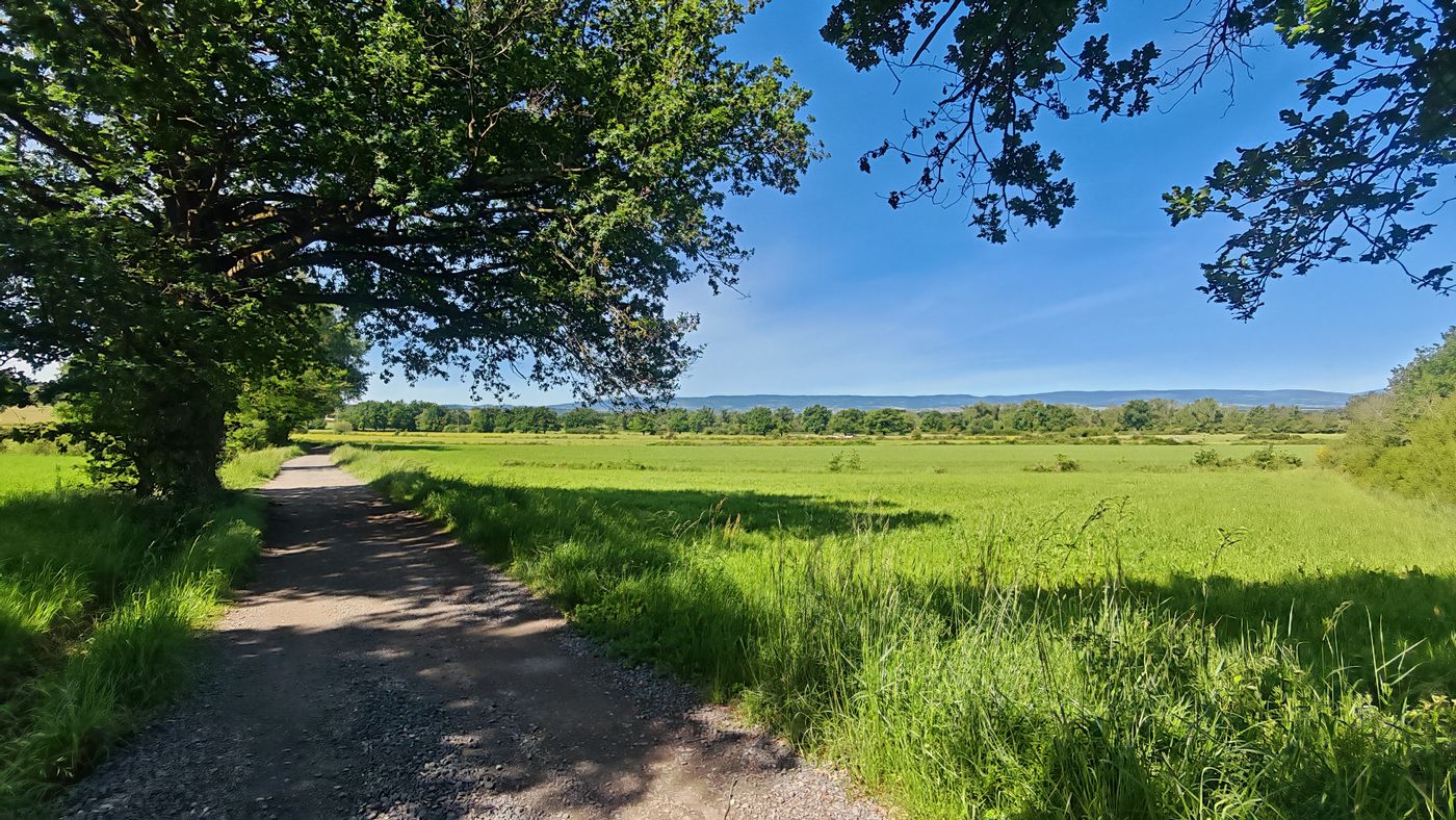 Le sentier au milieux de la campagne