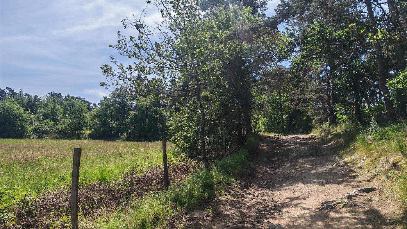 Le sentier monte parmi les ornière des pluies hivernal
