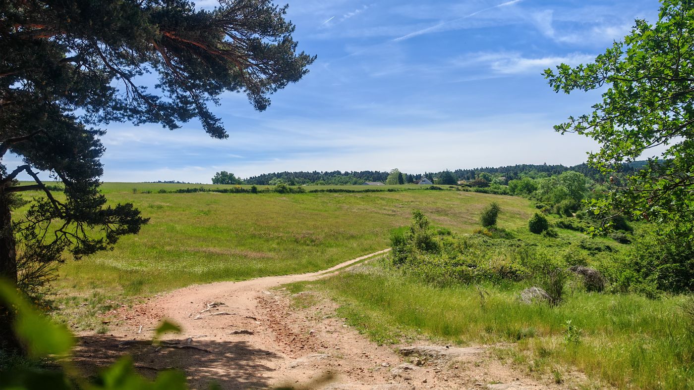 Campagne