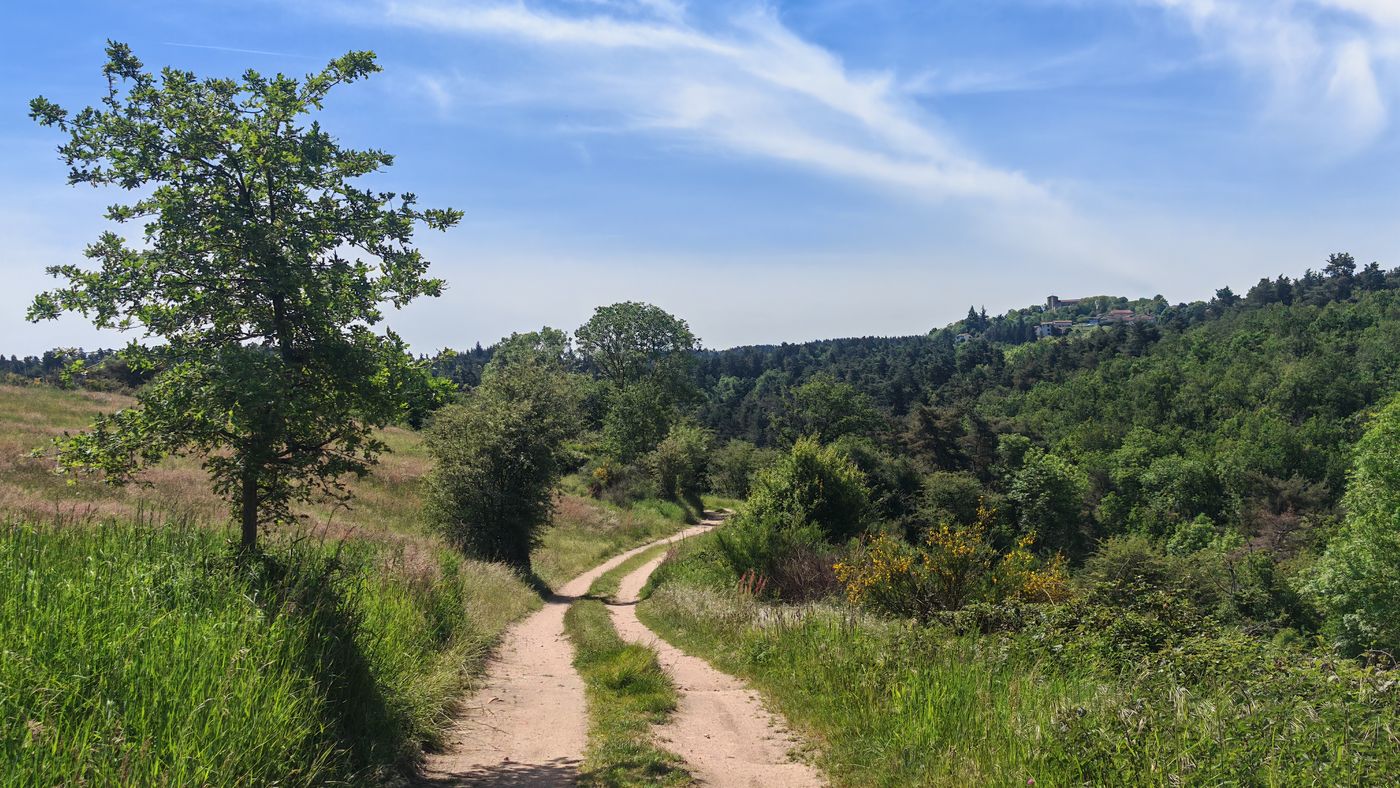 La route de campagne serpente