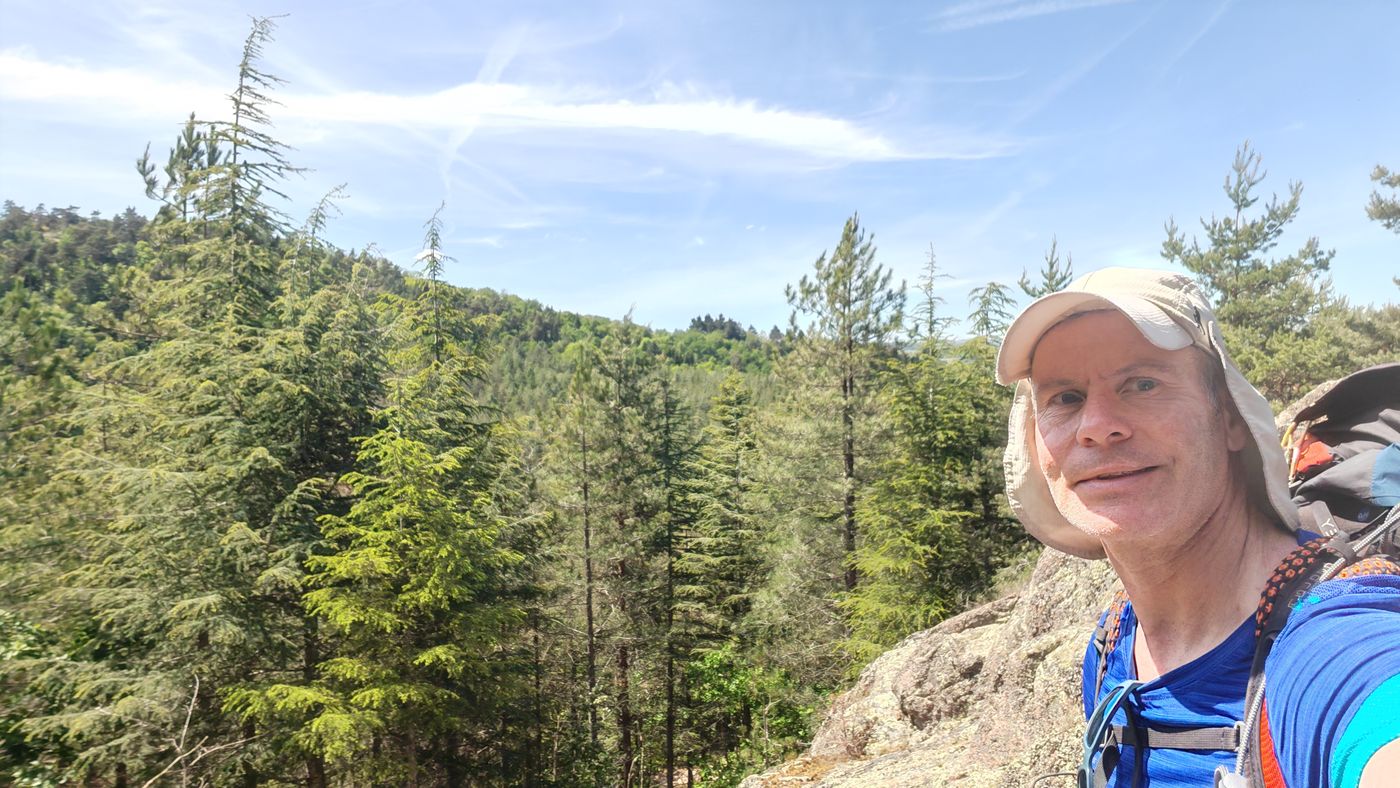 Je rentre dans un bois parfait pour le pique nique