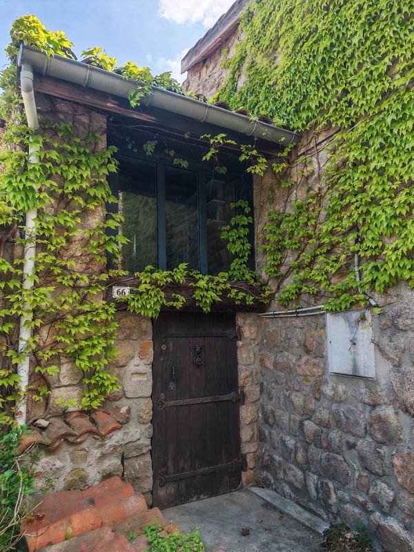 Porte et vigne vierge