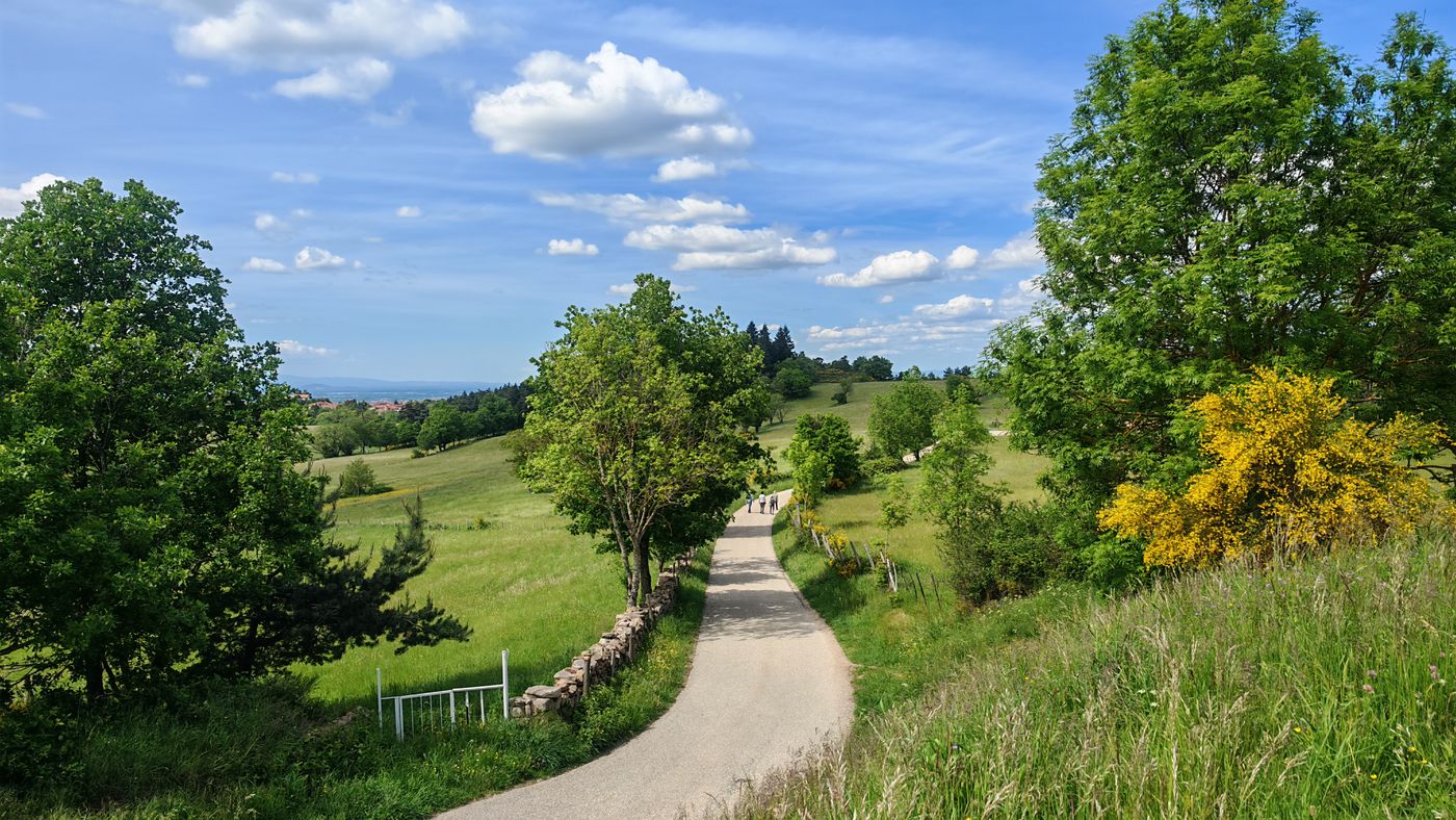 Un sentier de marche vas vers les Camaldules