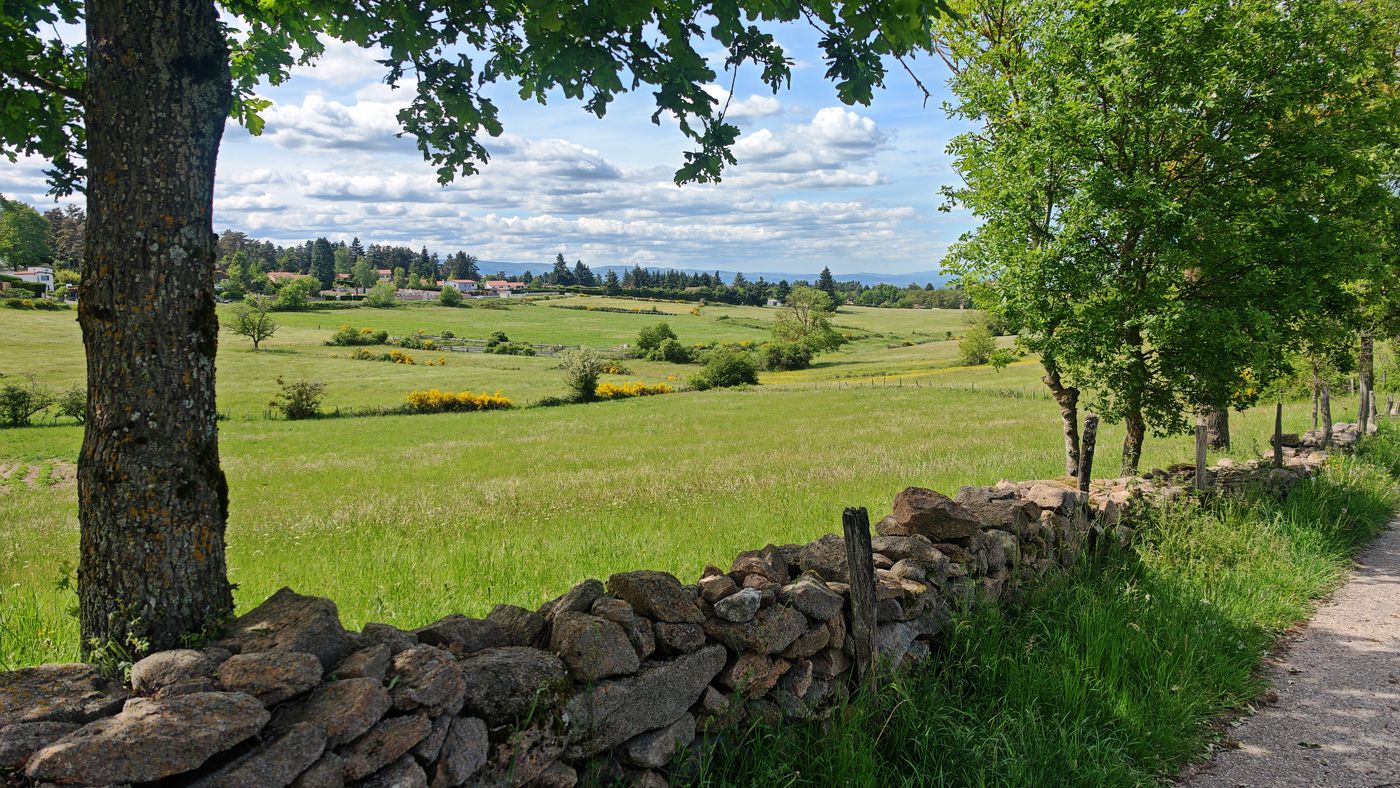 Chemin bien aménagé